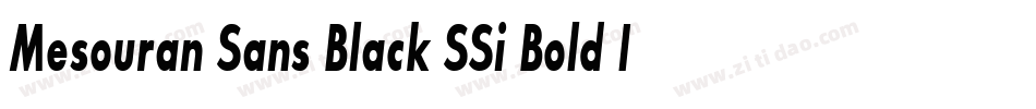 Mesouran Sans Black SSi Bold Italic字体转换
